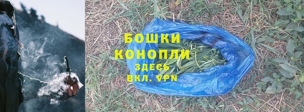 соль ск Богданович