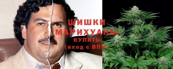 соль ск Богданович