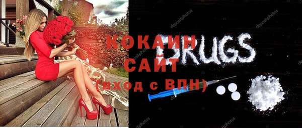 соль ск Богданович