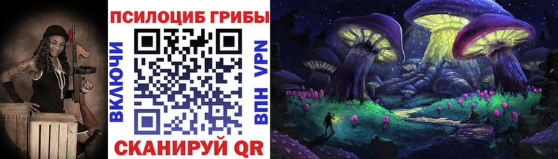 hydra   Михайловка  Псилоцибиновые грибы мицелий 